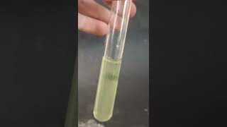 💚Sulfato de Hierro II  Hidróxido de Sodio🔥Reacción Química 🧪 [upl. by Mickie]