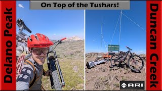 Epic Descent off Delano Peak to Duncan Creek  Mountain Biking Tushar Mountains Utah [upl. by Blim]