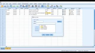 Binary Logistic Regression Part 1  Generating Output [upl. by Sevik]