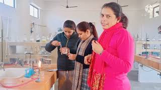 Adulteration in Food🫕Testing for Sugar🥣 Chilli🌶️ Turmeric🍠 and Milk 🥛 VALUE ADDED COURSE [upl. by Echikson535]