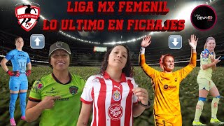 RUMORES FICHAJES ALTAS Y BAJAS LIGA MX FEMENIL¿KATTY MARTÍNEZ SE VA SANDRA PAÑOS LLEGA A MÉXICO [upl. by Arracot325]