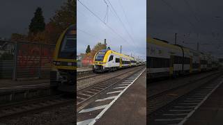 RE7 mit DesiroHC der Deutsche Bahn in Bad Krozingen deutschebahn trainspotting shorts yt [upl. by Delfeena945]