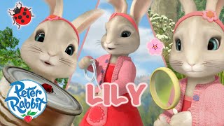 ​OfficialPeterRabbit  🌟 Lilys Brilliance 🌟  Day of the Girl Special 🎉 💕🎉  Cartoons for Kids [upl. by Ennairoc]