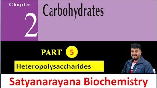 Heteropolysaccharides  Part5  Chapter2  Carbohydrates satyanarayana biochemistry [upl. by Samara]