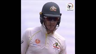 Sledging at its best or worst in Cricket Aus vs Ind [upl. by Dahl]