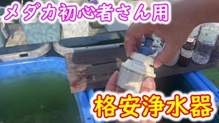 【めだか】僅か１５００円で導入できる浄水器の紹介。Ｂ型おやじ [upl. by Neit]