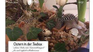 DIY „Ostern in der Teebox“ Dekoidee mit Naturmitbringsel Oster Deko Idee  How to  Deko Jana [upl. by Conchita]