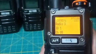 Chiamata Selettiva Firmware Prepper [upl. by Macdermot111]