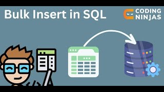 Bulk insert in sql server  شرح بالعربي [upl. by Livvy]