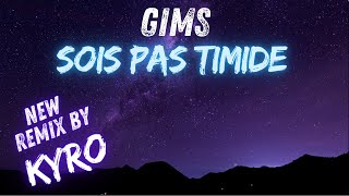 Gims  Sois pas Timide Paroles  Remix V2 [upl. by Aniloj99]