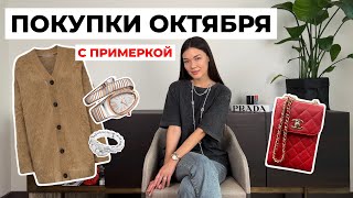 сумка Chanel БАЗОВЫЕ ВЕЩИ 12storeez и Massimo Dutti Zara Bvlgari Serpenti ТРЕНДЫ ОСЕНЬ 2023 [upl. by Hannazus]