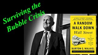 Surviving Market Bubbles Like a Pro A Random Walk Down Wall Street Audiobook Ch 4 Summary [upl. by Dorina]