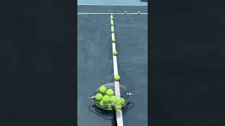 🎾The fastest tennis ball collector 🎾 smalleyes games sportsequipment tennisball gaming [upl. by Llevron]