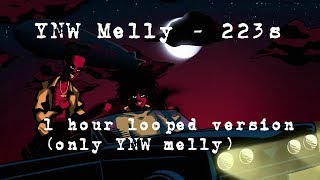 223s but its only YNW Melly for 1 hour [upl. by Abih]