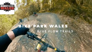 Bike Park Wales  Willy Waver Sixtapod Melted Welly Merthyr Rocks Terrys Belly [upl. by Oam]