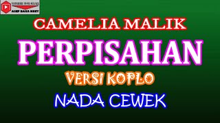 PERPISAHAN  CAMELIA MALIK COVER KARAOKE DANGDUT [upl. by Adlay]