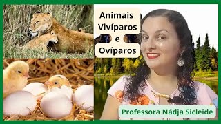 🌟VAMOS REVISAR PARA PROVA ANIMAIS VIVÍPAROS OVÍPAROS E O CICLO DE VIDA Profª Nádja Sicleide🌟 [upl. by Ahsikar828]