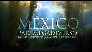 México País Megadiverso [upl. by Dulcia900]