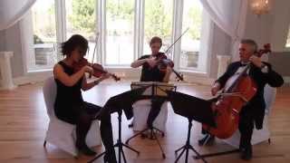 String Trio of Violin Viola and Cello  Wedding Music  A Music Plus Entertainment [upl. by Erreit]