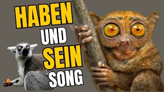 📝👩‍🏫 Konjugation von SEIN und HABEN ‑ SONG💬✍️ [upl. by Millman677]