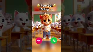 When Poor cat calls at 2 am 😞 [upl. by Johnny730]