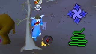 Pking in Very Odd Places on Runescape OSRS [upl. by Angele]