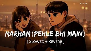 Marham Pehle Bhi Main Slowed  Reverb  Vishal Mishra  Animal  SR Lofi [upl. by Necyrb]