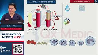 Hematología Ciencias Básicas  Primera parte 01 [upl. by Nwahsear]