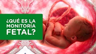 ¿Qué es la monitoria fetal [upl. by Akenet]