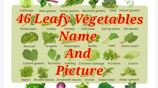 46 types of Leafy Vegetables Name and Picture [upl. by Eeralav438]