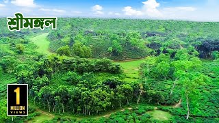 সম্পদে সৌন্দর্যের অনন্য শ্রীমঙ্গল  Sreemangal  Moulvibazar Sylhet  PanoramaDocumentary [upl. by Slotnick]