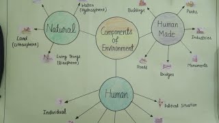 how to draw components of environment  how to draw a diagram of components of environment [upl. by Milda]