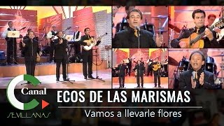 Ecos de las Marismas Vamos a llevarle flores [upl. by Litha430]