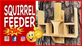 Making A Squirrel Feeder With Two Seats [upl. by Henarat]