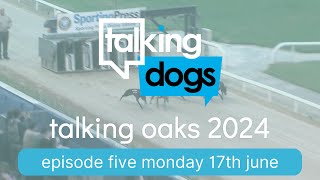 Talking Oaks 2024 Episode 5 Monday 17th June [upl. by Leber887]