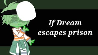 mcyt If Dream escapes prison [upl. by Nnylecoj]