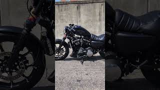 Custom Harley Davidson Sportster Iron 883 iron883 [upl. by Aihppa]