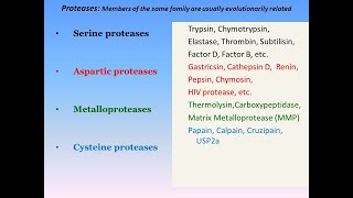 Serine Proteases Mechanism of Action [upl. by Chong]