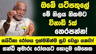 යටිපතුලේ මේ නිලය විනාඩි 5ක් තෙරපන්න  සයිටිකා රෝගය ඉක්මනින්ම සුව වෙලා යනවා සයිටිකා රෝගයට ප්‍රතිකාර [upl. by Aihk]