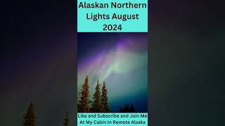 INCREDIBLE Alaskan Northern Lights  August 2024 shorts [upl. by Anived]