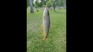 Trout fishing on the Redwater River in South Dakota [upl. by Lash]