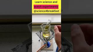 Testing a Leaf for Starch gcsescience biology science scienceteacher [upl. by Desiri]