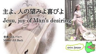 【432hz リラックス バッハ Relax Bach】主よ、人の望みの喜びよ Jesu Joy of Mans Desiring ランベール甲斐 あきよライアー Akiyo（Lyre） [upl. by Neufer]