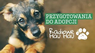 Adopcja psa Jak prawidłowo przygotować się do adopcji  Radiowe Hau Hau Odcinek 1 [upl. by Konstantine]