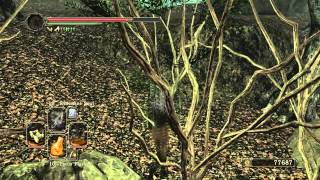 Dark Souls 2  Shaded Woods OOB Jump [upl. by Payton]