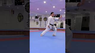 Shisochin Kata Yukan Kai Karate Do by Davy Wijaya Sensei Goju Ryu [upl. by Harras477]