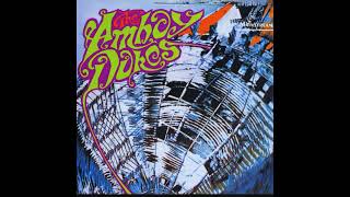 The Amboy Dukes  Baby Please Dont Go  1967 51 surround STEREO in [upl. by Suiraj]