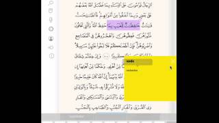 Quran Memorization How to master your mistakes 3 of 3 [upl. by Ierbua]