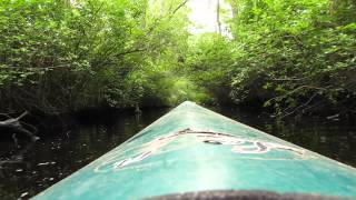 Tuckahoe River Below Route 49 Spillway New Jersey [upl. by London]