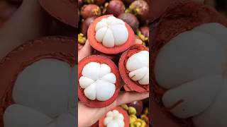 Mangosteen Queen Of Fruits ❤️ short ytshorts fruit [upl. by Suoirad109]